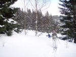 Pár fotek ze ZÁKLADNÍHO KURZU SKIALPINISMU, Sobotní prašanový náhul si všichni užili dosytosti. Nekutečná radost z yžování na nedotčených svazích, prostě úlet! Nedělní lavinový blok byl díky sněhovému masakru opravdu prvotřídní! Škoda jen toho - fotografie 16