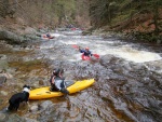 RAFTING A YUKONY NA JIZEŘE, V sobotu i v neděli příjemná voda... Děkujeme Krakonoši! - fotografie 64