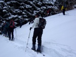 Pár fotek ze Základního kurzu SKIALPINISMU, Konečně jsou opět skvělé podmínky pro tento nádherný sport: spousty prašanu, drobné sněžení, týmová pohoda, výborné podmínky pro lavinový blok, no prostě luxus! A to osobní zlepšení u všech při jízdě - fotografie 7