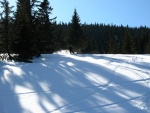 Základní skialp kurz, Príma parta a skvělé počasí a nedělní prašanové orgie.... - fotografie 155