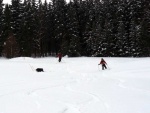 PÁR FOTEK ZE ZÁKLADNÍHO KURZU SKIALPINISMU, Tak takhle má vypadat pravá zima. Parádní podmínky v parádní partě. Takže tu máme zase 9 nových skialpinistů.. - fotografie 15