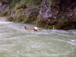 RAFTING NA SKVĚLÉ SALZE, Úžasná voda a ještě lepší počasí... Není co dodat, to se musí zažít!. - fotografie 133