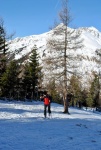 SKIALPOVÁ HITPARÁDA RIEDINGTAL, Počasí bylo naprosto fantastické, zato sníh byl pro fajnšmekry: ve všech možných druzích. Báječná partička... - fotografie 34