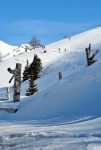 SKIALPOVÁ HITPARÁDA RIEDINGTAL, Počasí bylo naprosto fantastické, zato sníh byl pro fajnšmekry: ve všech možných druzích. Báječná partička... - fotografie 54