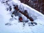 ZÁKLADNÍ KURZ SKIALPINISMU 10.-12.2.2012, Nádherné počasí, přes den teplo a slunce, v noci mrazivo, prašánek a parta zapálených mladých a krásných lidí. No co by mohlo být lepší... Skol! A ať žijí gastro zážitky a skialpinismus! - fotografie 134