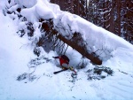 ZÁKLADNÍ KURZ SKIALPINISMU 10.-12.2.2012, Nádherné počasí, přes den teplo a slunce, v noci mrazivo, prašánek a parta zapálených mladých a krásných lidí. No co by mohlo být lepší... Skol! A ať žijí gastro zážitky a skialpinismus! - fotografie 136