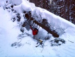 ZÁKLADNÍ KURZ SKIALPINISMU 10.-12.2.2012, Nádherné počasí, přes den teplo a slunce, v noci mrazivo, prašánek a parta zapálených mladých a krásných lidí. No co by mohlo být lepší... Skol! A ať žijí gastro zážitky a skialpinismus! - fotografie 137