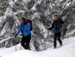 ZÁKLADNÍ KURZ SKIALPINISMU 15.-17.2.2013, Parádní, v téměř čistě chlapská záležtost. Brilantní sněhové podmínky a pohoda v týmu a žádostivost se něco dozvědět. Všichni se naučili skvěle nakopnout Harleye a nejen to... - fotografie 25