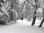 SKIALPINISTICKÝ VÍKEND V KRKONOŠÍCH tentokrát ze ŠPINDLU, Tak to byla opravdová zima! mrtě nového sněhu, vysoká lavinovka 3-4, ale náladička v týmu bezvadná. Využili jsme pohostinnosti Martinovky a dali si KRNAPEM povolené trasy v Údolí Bílého Labe a na Labs - fotografie 6