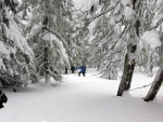 SKIALPINISTICKÝ VÍKEND V KRKONOŠÍCH tentokrát ze ŠPINDLU, Tak to byla opravdová zima! mrtě nového sněhu, vysoká lavinovka 3-4, ale náladička v týmu bezvadná. Využili jsme pohostinnosti Martinovky a dali si KRNAPEM povolené trasy v Údolí Bílého Labe a na Labs - fotografie 7