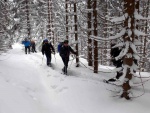 SKIALPINISTICKÝ VÍKEND V KRKONOŠÍCH tentokrát ze ŠPINDLU, Tak to byla opravdová zima! mrtě nového sněhu, vysoká lavinovka 3-4, ale náladička v týmu bezvadná. Využili jsme pohostinnosti Martinovky a dali si KRNAPEM povolené trasy v Údolí Bílého Labe a na Labs - fotografie 28