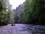 Rafting v Totes Gebirge, Lehčí raftingová akce na dvou hezkých řekách. Po sobotním sluníčky sice zapršelo, ale větší voda na Steyru byla všemi jednoznačně přivítána... - fotografie 47
