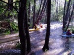 VAVŘINEC - záverečná prověrka a adrenalinový náhul, Počasí vyšlo skvěle, v sobotu bylo nad poměry vody hodně a neděle? no to byla klasická pohodička. Slunce, dobrá parta a tradičně skvělá vodácká zábava v Horních Krůtech přinesla všem skvělé zážitky. N - fotografie 50