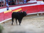 LETN FRANCOUZSK POHODA NA EKCH Gard, Tarn, Herault a Ardeche, Skvl slunen poas na rozdl od detivch ech, jin temperament a b zpasy, skvl vno, ndhern eky, przran a tepl voda, no prost pohoda jak m bt... - fotografie 389