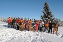 Foto 6: SKI WORKSHOP